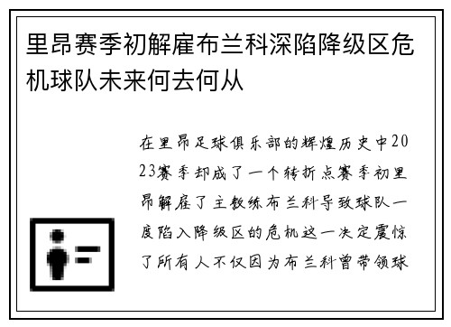 里昂赛季初解雇布兰科深陷降级区危机球队未来何去何从 里昂赛季初解雇布兰科深陷降级区危机球队未来何去何从
