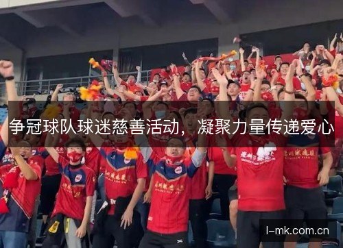 争冠球队球迷慈善活动，凝聚力量传递爱心